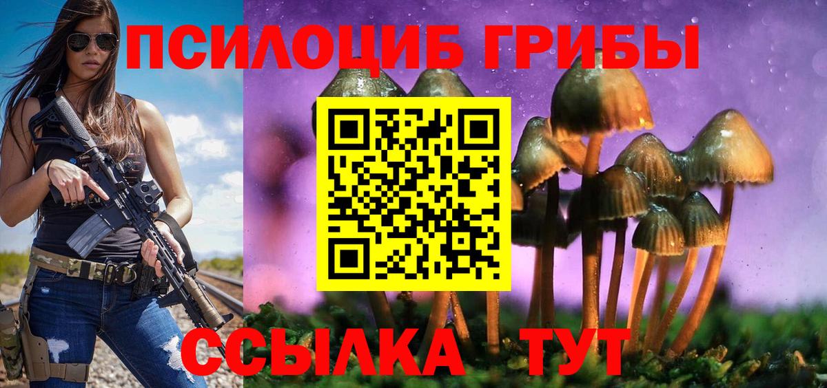 Галлюциногенные грибы Magic Shrooms  Псилоцибиновые грибы GOLDEN TEACHER  Большой Камень  Вход с VPN 